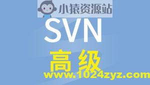 尚硅谷SVN高级视频