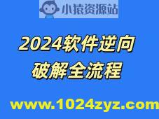 2024小迪逆向vip教程