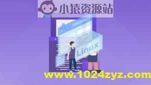 极客事纪： Linux运维云计算SER架构师视频课程